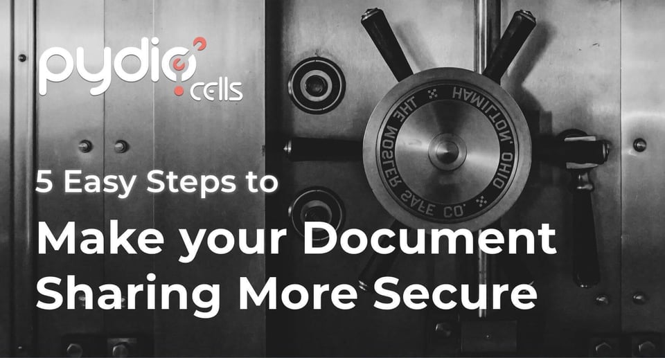 5 Easy Steps to Make Your Document Sharing More Secure