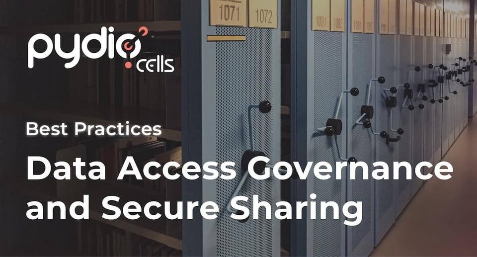 Data Access Governance and Secure Document Sharing