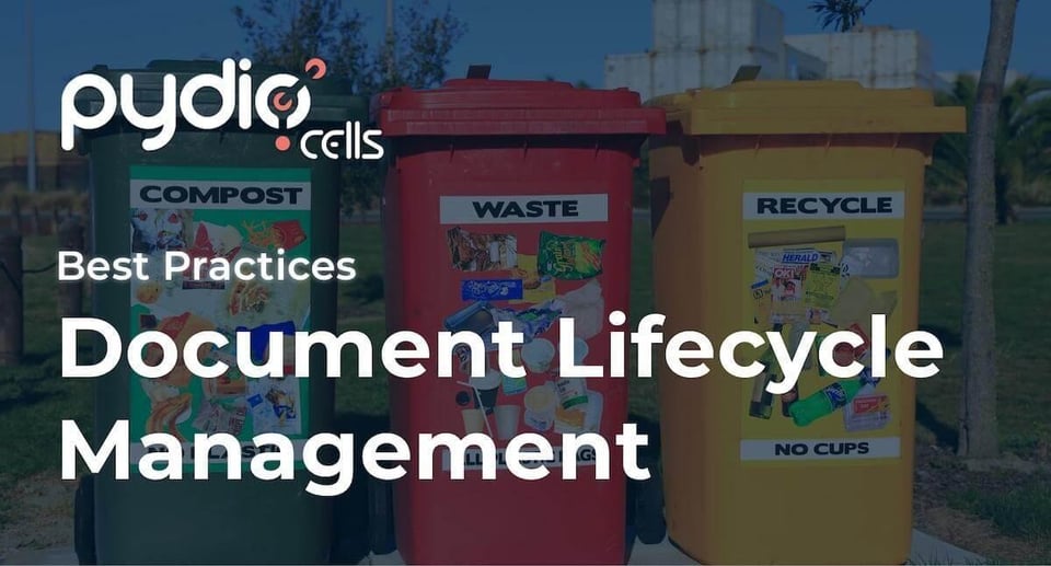 Document Lifecycle Management for Secure Document Sharing
