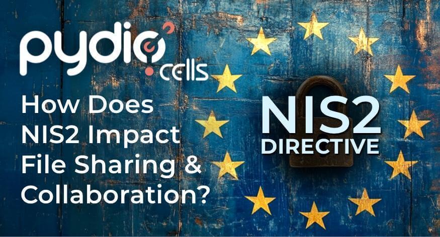 How Does NIS2 Impact File Sharing and Collaboration?