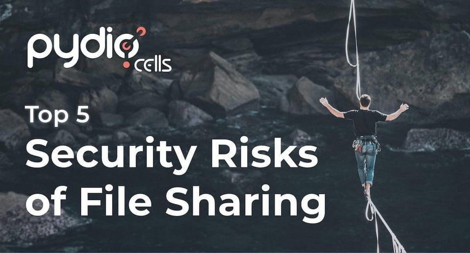 Top 5 Security Risks of Document Sharing & Collaboration Tools