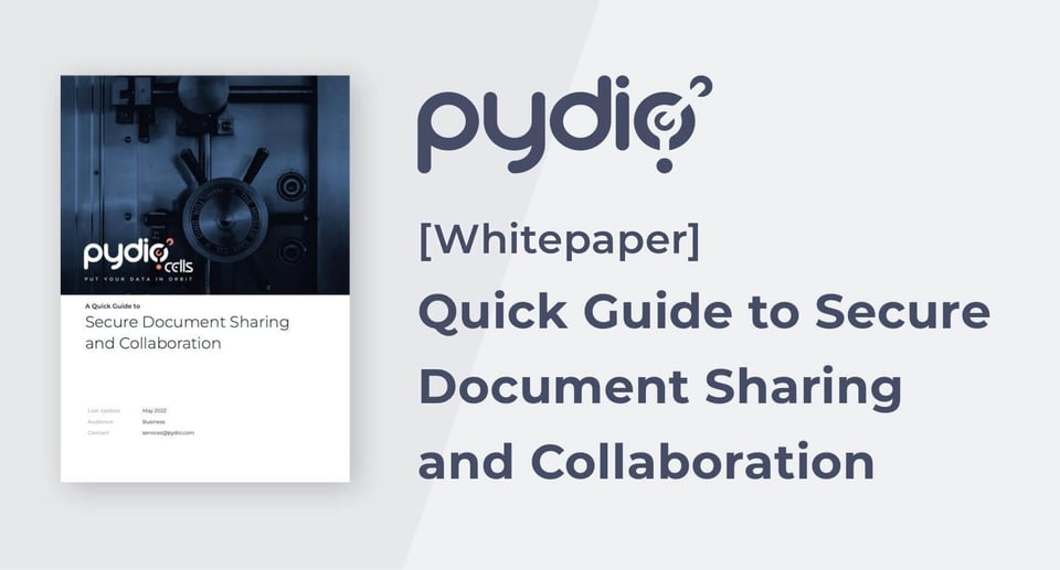 New Whitepaper - Quick Guide to Secure Document Sharing and Collaboration