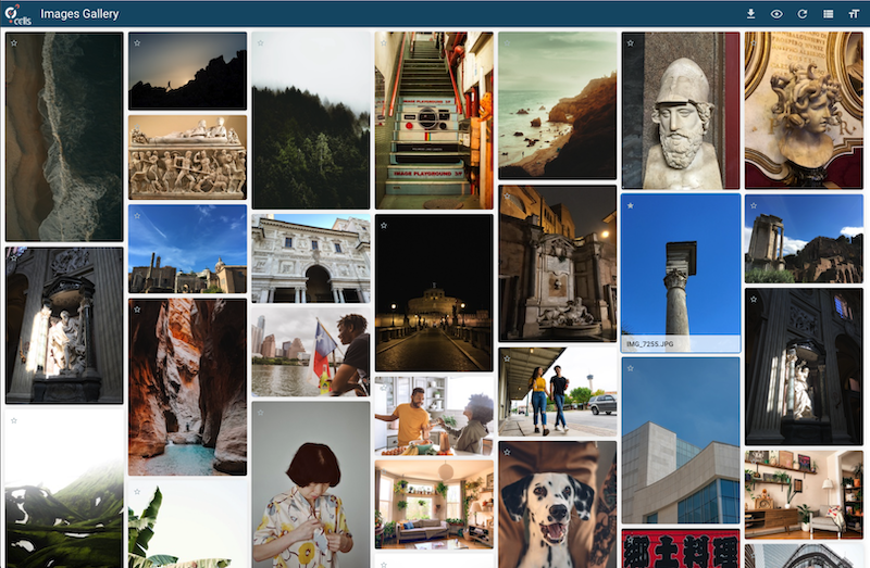 image-gallery