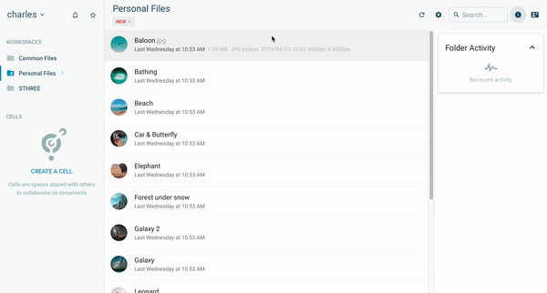 Advanced Secure File Sharing